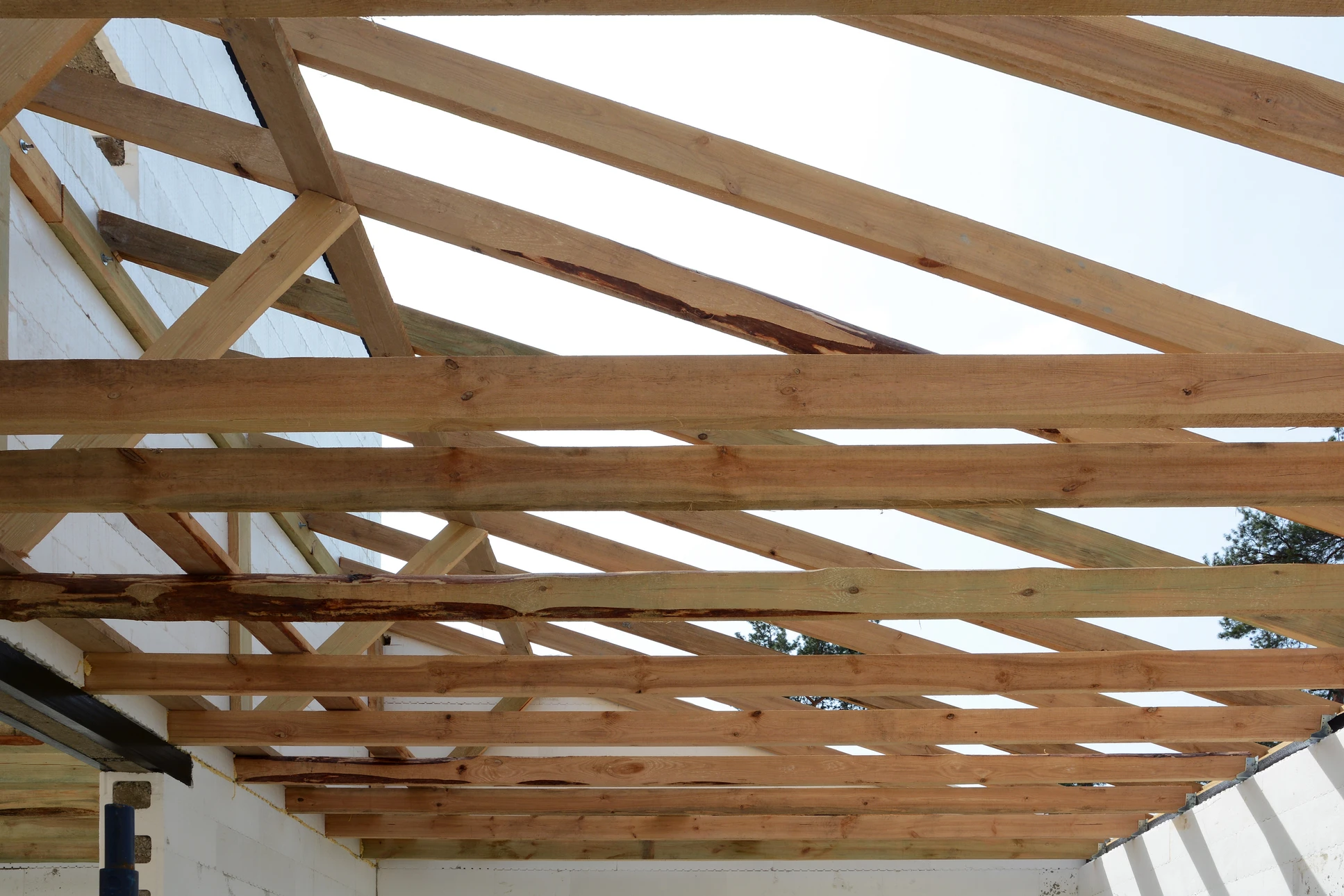 Chantier de construction d'une charpente en bois, vue intérieure depuis le sol vers la toiture ouverte